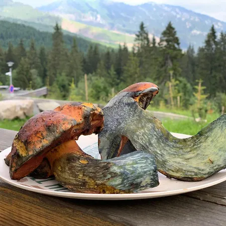 Polana דמנובסקה דולינה